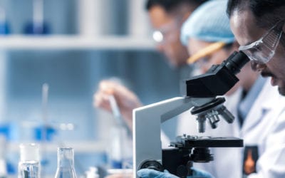 Understanding How Type 1 Gastric Neuroendocrine Tumours Develop