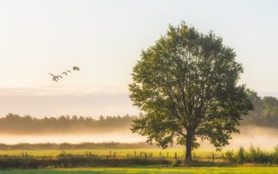 End of life care