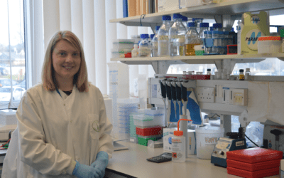 Research – New drug for the treatment of pancreatic neuroendocrine tumours (PNETs)