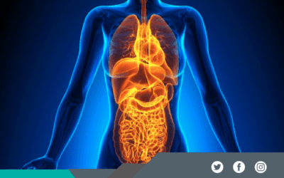 Neuroendocrine Cancer Patient Information