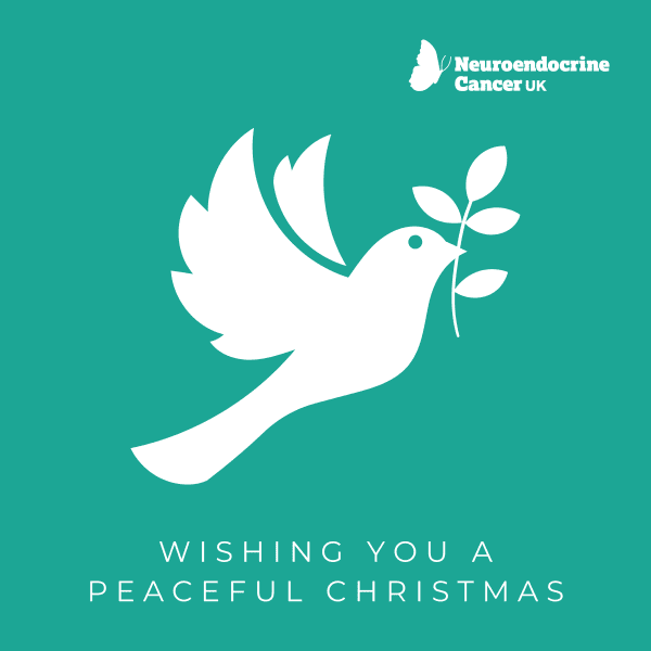 Christmas Dove - Christmas Card - Pack of 10
