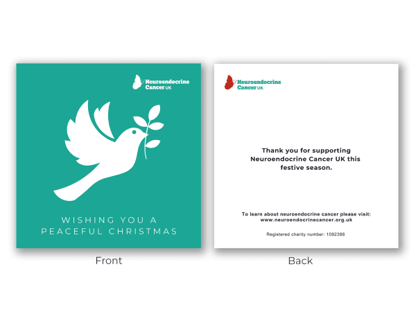 Christmas Dove - Christmas Card - Pack of 10 - Image 2